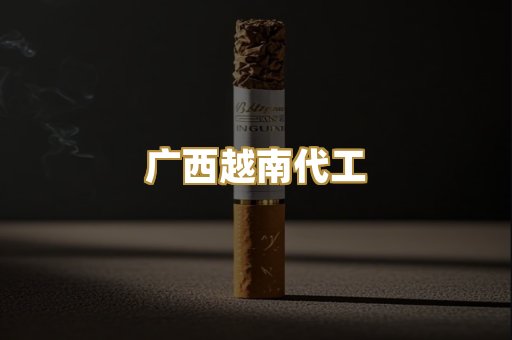 广西越南代工